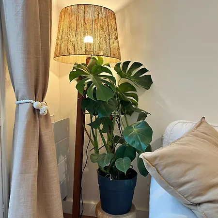 Cozy Centre *
