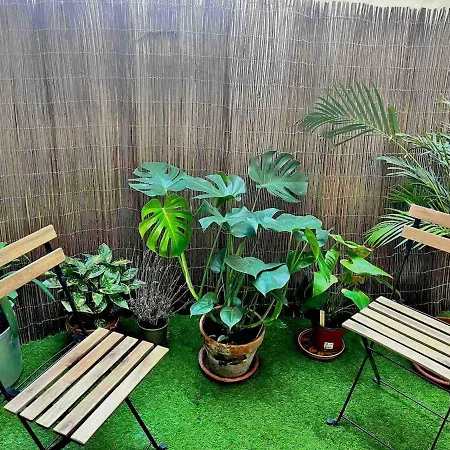 Cozy Centre